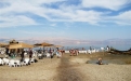 Экскурсия "Мёртвое море. Пляж Минерал."