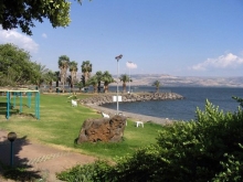 Отель Tulip Inn Sea Of Galilee